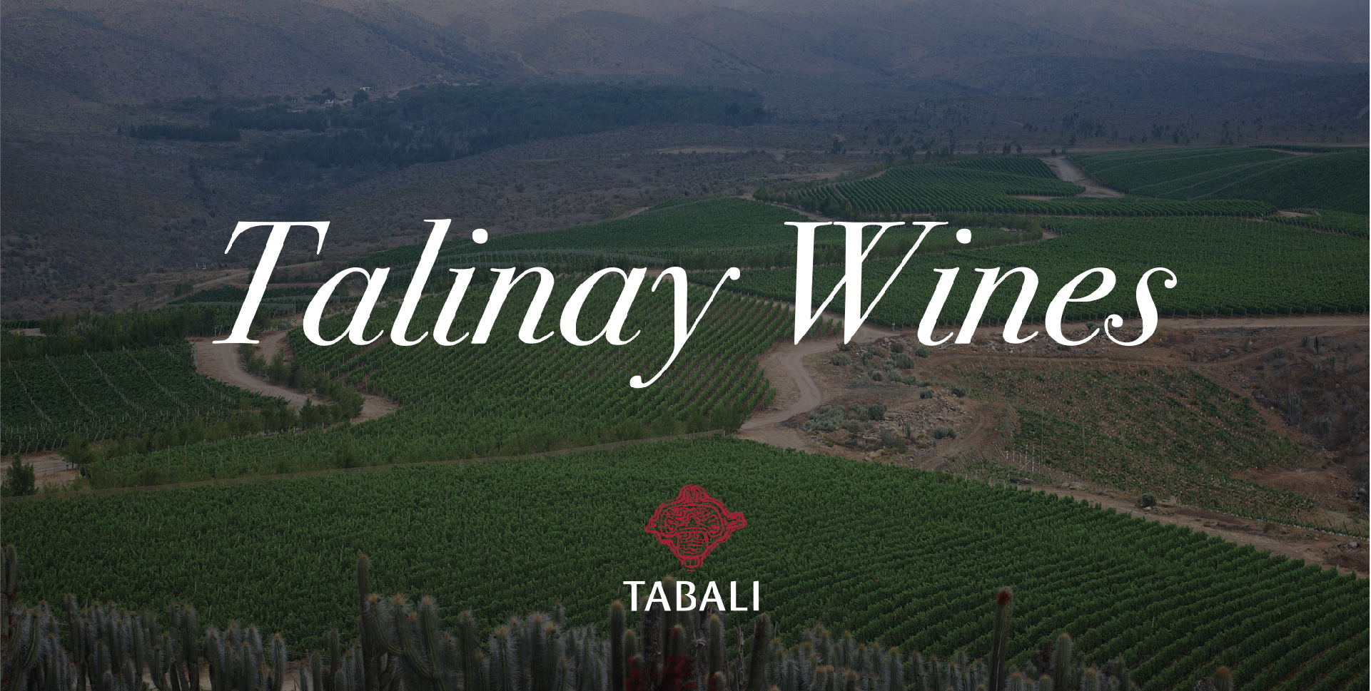 TAlinay wines blog-04-01